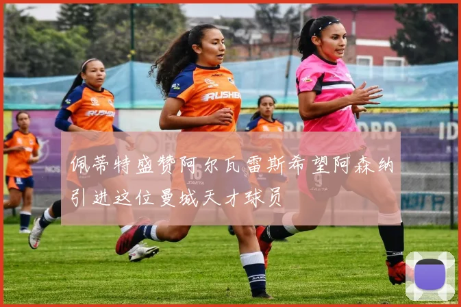 佩蒂特盛赞阿尔瓦雷斯希望阿森纳引进这位曼城天才球员
