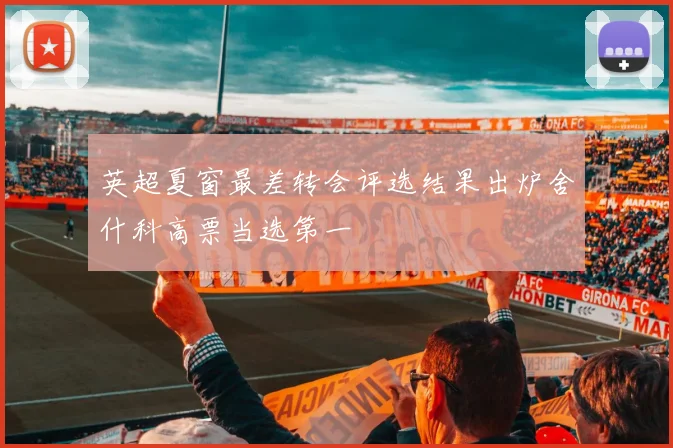 英超夏窗最差转会评选结果出炉舍什科高票当选第一